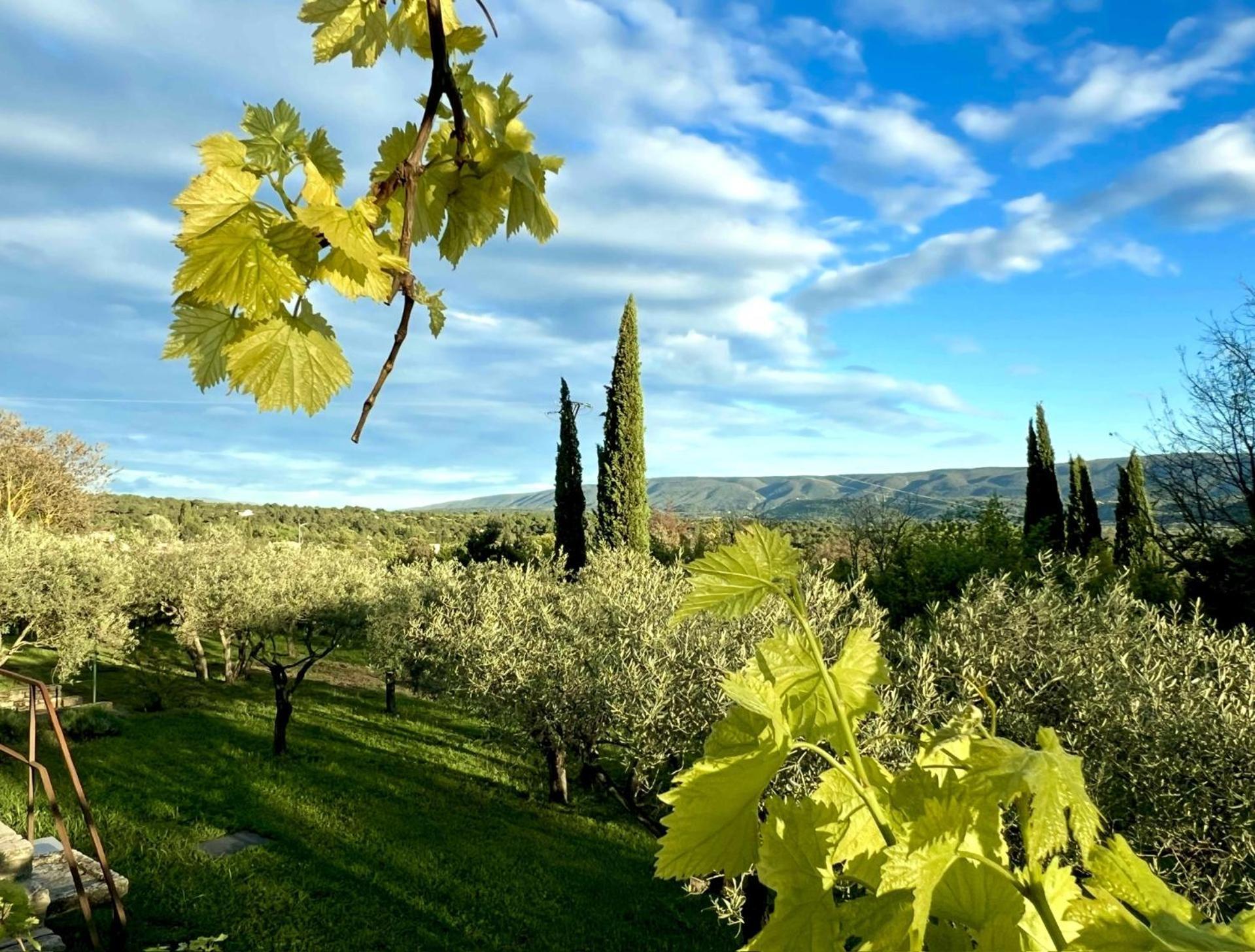Provence Km28 Bed & Breakfast กอร์ด ภายนอก รูปภาพ