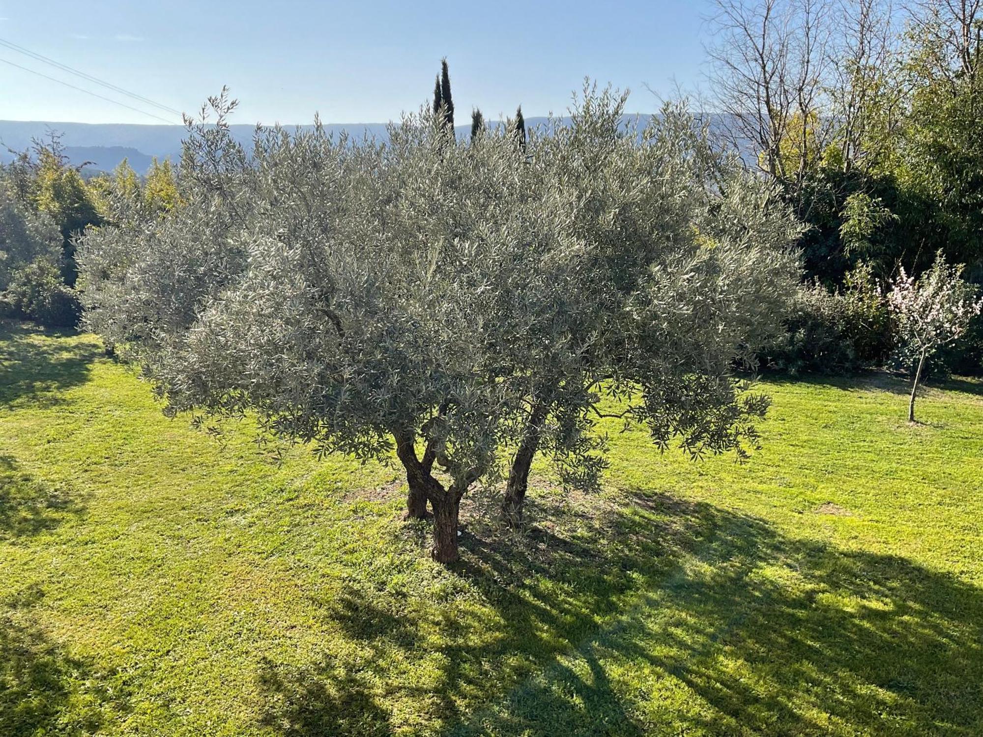 Provence Km28 Bed & Breakfast กอร์ด ภายนอก รูปภาพ