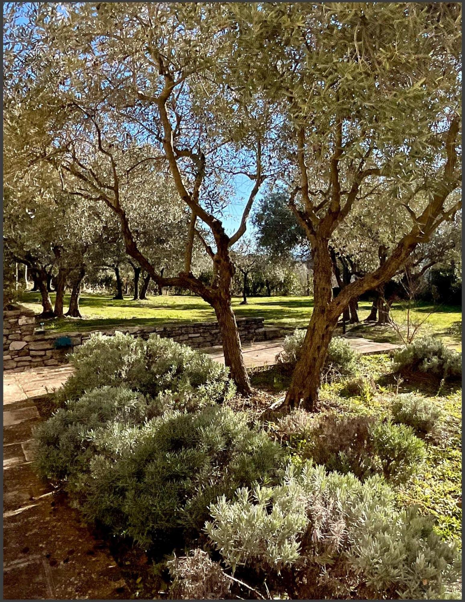 Provence Km28 Bed & Breakfast กอร์ด ภายนอก รูปภาพ